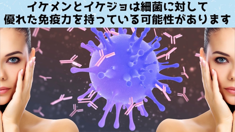 顔の魅力は免疫能力の高さと関連していたと判明!