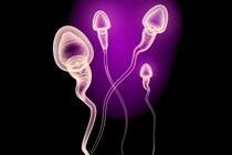 精子の進化的起源は多細胞動物よりも4億年も古かった