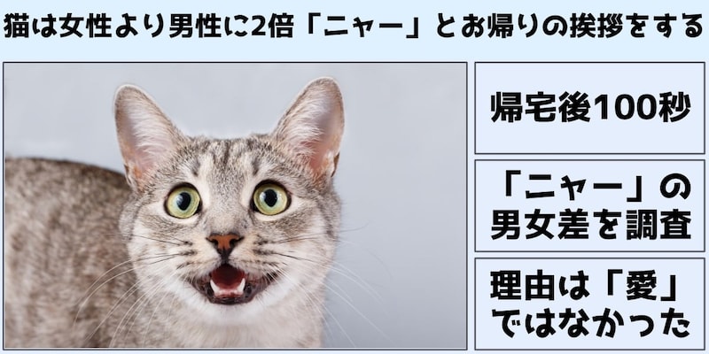猫は男性に2倍「ニャー」とお帰りの挨拶をすると判明――なぜなのか？