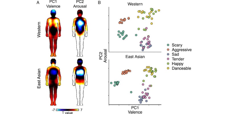 (左)西欧と中国の参加者の身体感覚マップ、(右)曲ごとの主成分スコア。ほとんど共通しているものの、細かい点では違いがある。