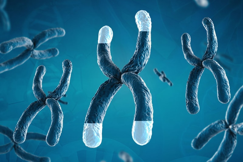 テロメアを伸ばしても寿命が延びるどころか「がん」リスクが急増するだけ