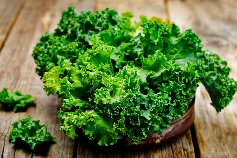 スーパーフード「ケール」の栄養を抜群に引き出す“あるもの”とは?