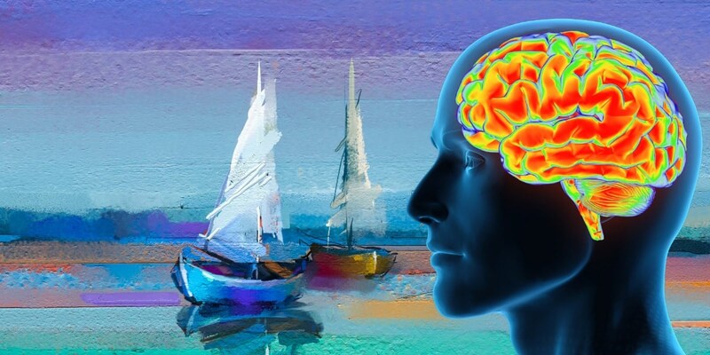 「脳の電気代」が美を制御している