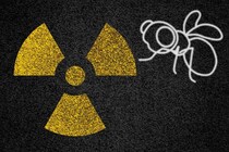 「放射線に強い菌」を食べたハエの放射線耐性が増加したと判明