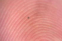 塩粒サイズの「自律型ロボット」の開発に成功