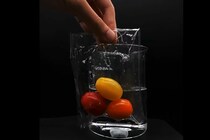 塩水で完全分解する「新型プラスチック」を開発