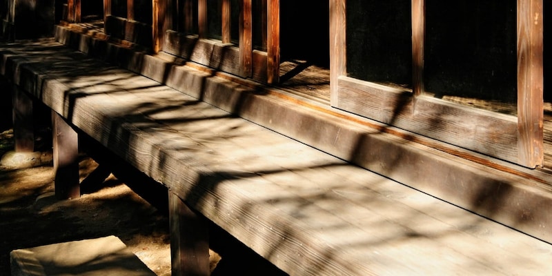 日の当たる窓際は景色だけでなく健康効果もあるのか?