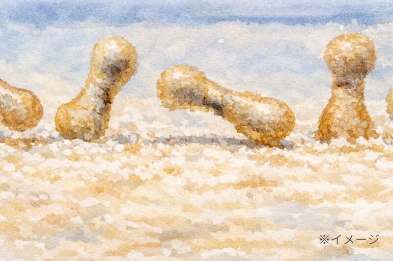 雨粒が坂を転がると「ピーナッツ型」や「ドーナツ型」を形成し、10倍の侵食力を生み出すと判明