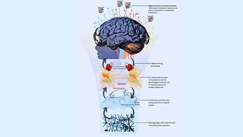 合成意識を目指すなら、どこから作り替えるべきか