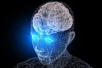 人間の視覚には「空気を読む」ための“第3の回路”があるようだ