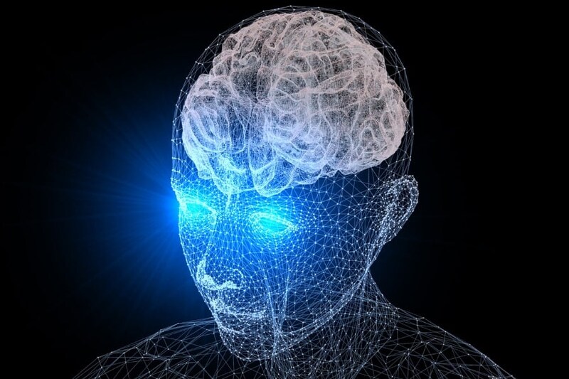 人間の視覚には「空気を読む」ための“第3の回路”があるようだ