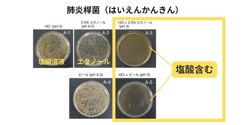 胃酸条件下におけるエタノールとビールは菌を死滅させた。