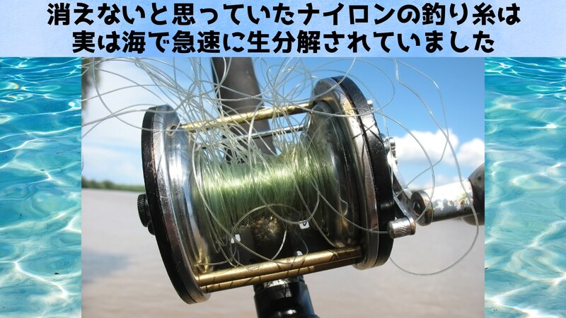 「ナイロンの釣り糸」が海で生分解することを発見：実は急速に溶けていた