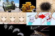 【2025年版】生命の驚異を感じる生物学ニューストップ７