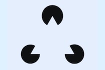 脳細胞にレーザーを照射し錯覚の原因を特定