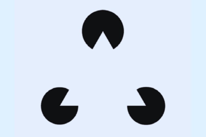 脳細胞にレーザーを照射し錯覚の原因を特定