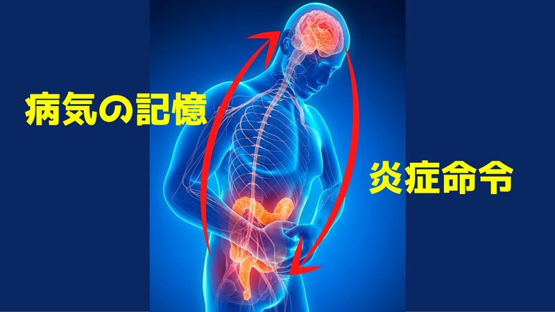 記憶だけで内臓に炎症が発生すると判明! 病は気からの原理解明か