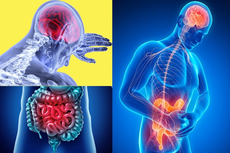 ”病気の記憶”だけで炎症は再発することがある「病は気から」を研究