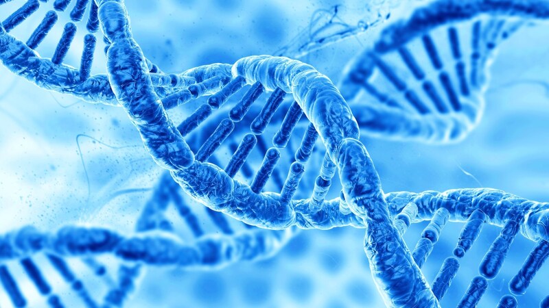 生き物が新しい種になる条件