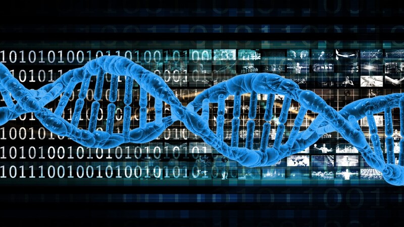 種の運命を左右する遺伝子の『抜け道』