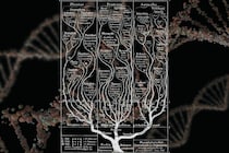 種の分岐は何が条件で起こるのか？