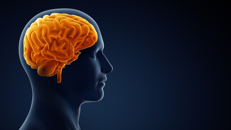 脳をターゲットにした糖尿病治療の新時代は来るか?