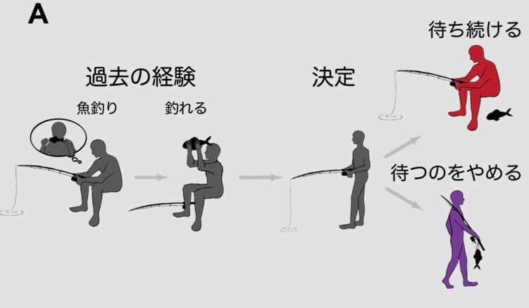 未来の当たりを待つときの「魚釣り」の例