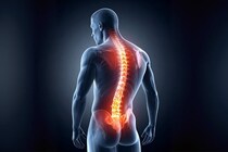 脊髄が性交時の腰振りや射精後の賢者タイムも生み出していた