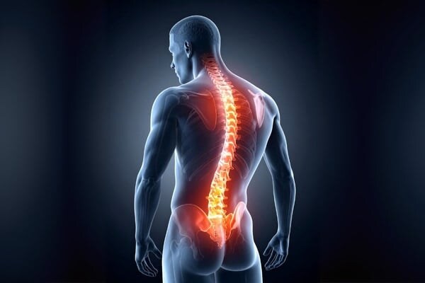 脊髄が性交時の腰振りや射精後の賢者タイムも生み出していた