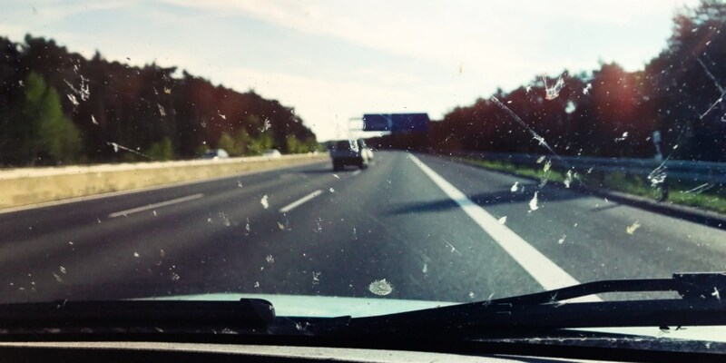 車にぶつかる虫の数は昔より減っているのか？実際数えて検証した研究