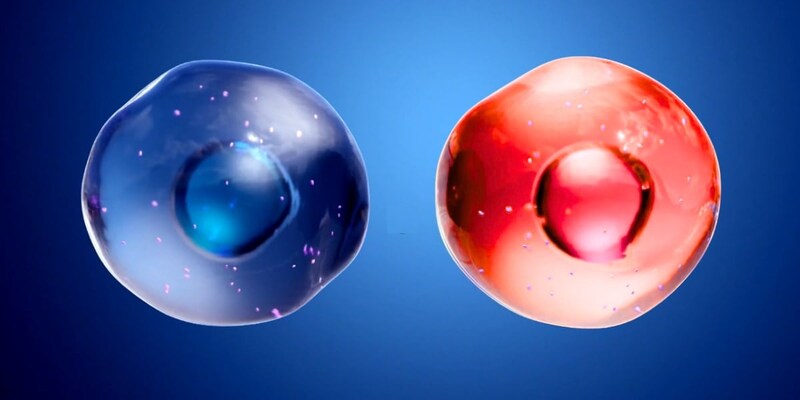 男性細胞と女性細胞が混ざり合っていた殺人被害者――法医学が見つけた“二人分のDNA”