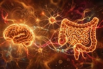 ヒトの腸内細菌を移植しただけでマウスの脳が「ヒト化」した