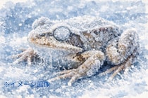 ”凍結カエル”は心臓が数カ月止まるが復活する―心臓移植技術に役立つかも