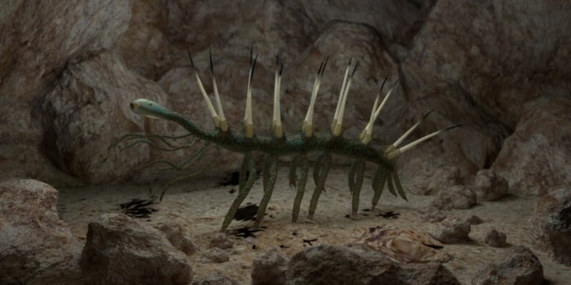 見た目で有名な「ハルキゲニア」の食事方法は謎だった