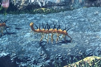 5億年前の怪物「ハルキゲニア」はクラゲをチューチュー吸っていた