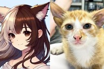 ケモ耳キャラの耳が4つあるのはダメなのか？実はネコは遺伝子疾患で耳が4つになる