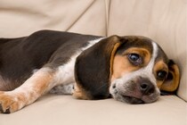 いいアイデアがひらめく最強の時間は「ボーっとしている時」