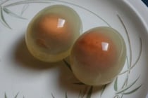ペンギンの卵を茹でると「透明なゆで卵」になる！