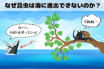 「なぜ昆虫は海にいないのか？」理由をわかりやすく解説