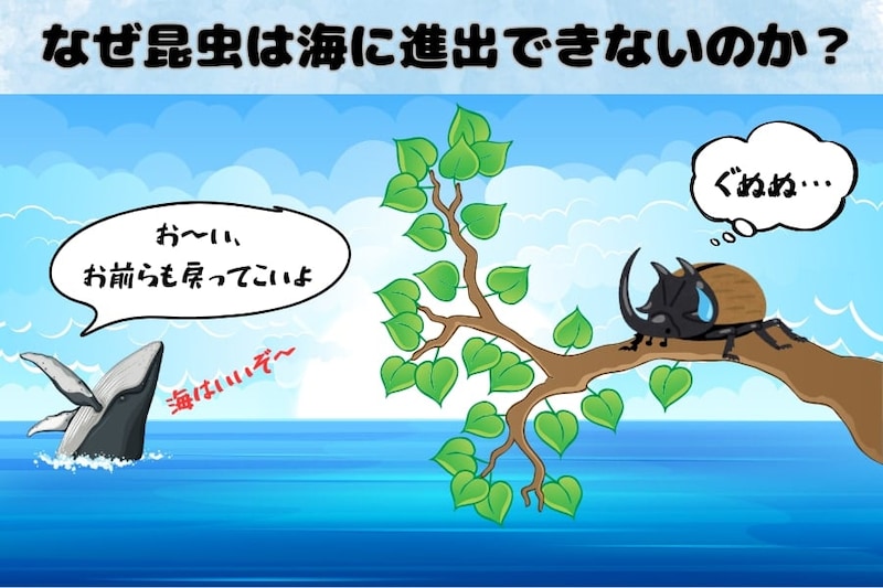 「なぜ昆虫は海にいないのか？」理由をわかりやすく解説