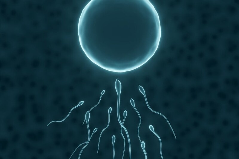 精子の品質検査を乗っ取り「ライバル精子だけ不良認定させる」仕組みを解明