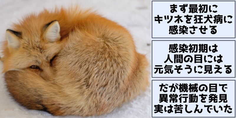 見た目はまだ元気な「感染者」を見分けたい理由