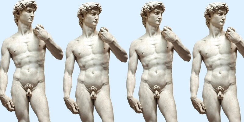 人間のペニスは「ケンカ」より「モテ」重視で巨大化した
