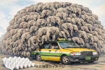 14歳が「1万倍の重さに耐える折り紙」構造を発見、2万5千ドル獲得