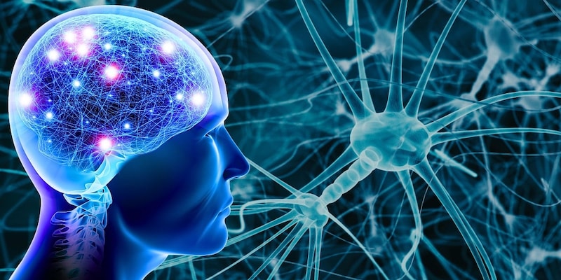 がん患者がアルツハイマー病を発症しにくい理由が見えてきた