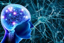 がん患者がアルツハイマー病を発症しにくい理由が見えてきた