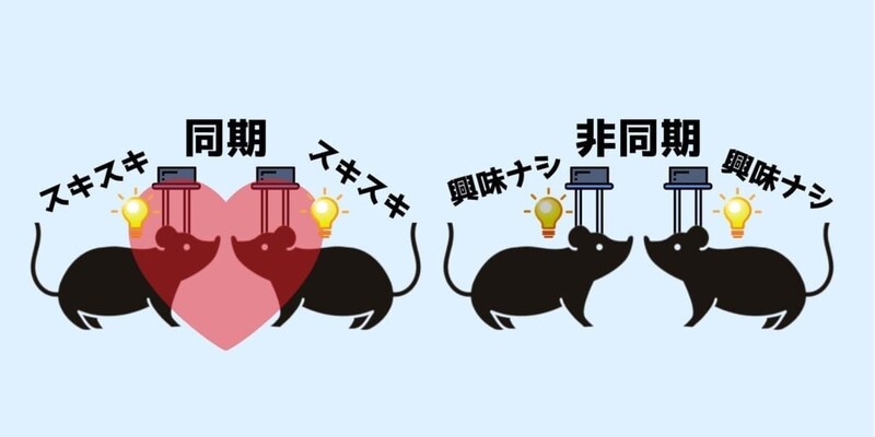 脳に刺したLEDで「友情」を遠隔操作する装置が開発！
