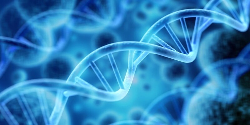 遺伝子を捨てる進化もある