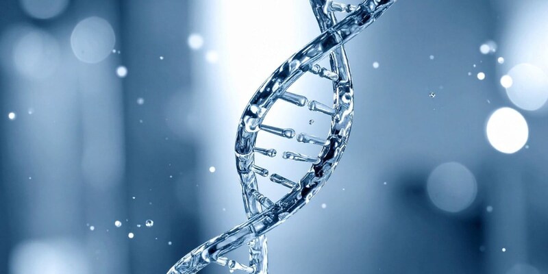 恋愛の自由を捨て、遺伝子も断捨離して「究極の社畜帝国」を手に入れた生物がいた