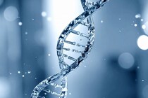 恋愛の自由を捨て、遺伝子も断捨離して「究極の社畜帝国」を手に入れた生物がいた